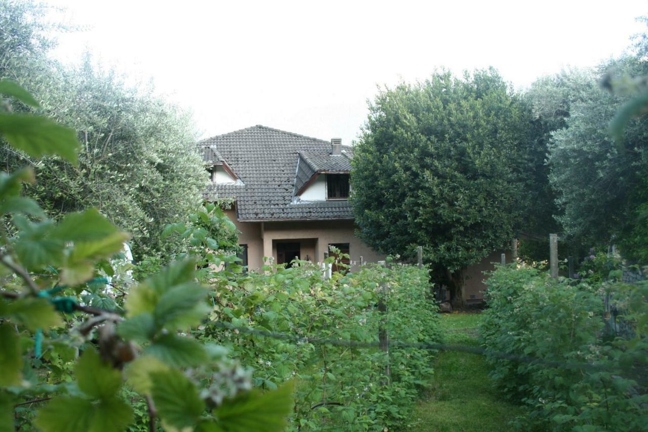 Agriturismo Badalone Domaso Exterior foto
