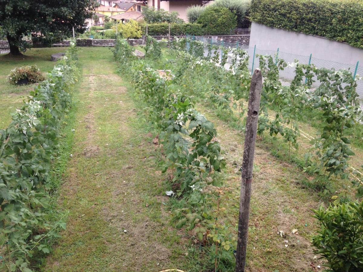 Agriturismo Badalone Domaso Exterior foto
