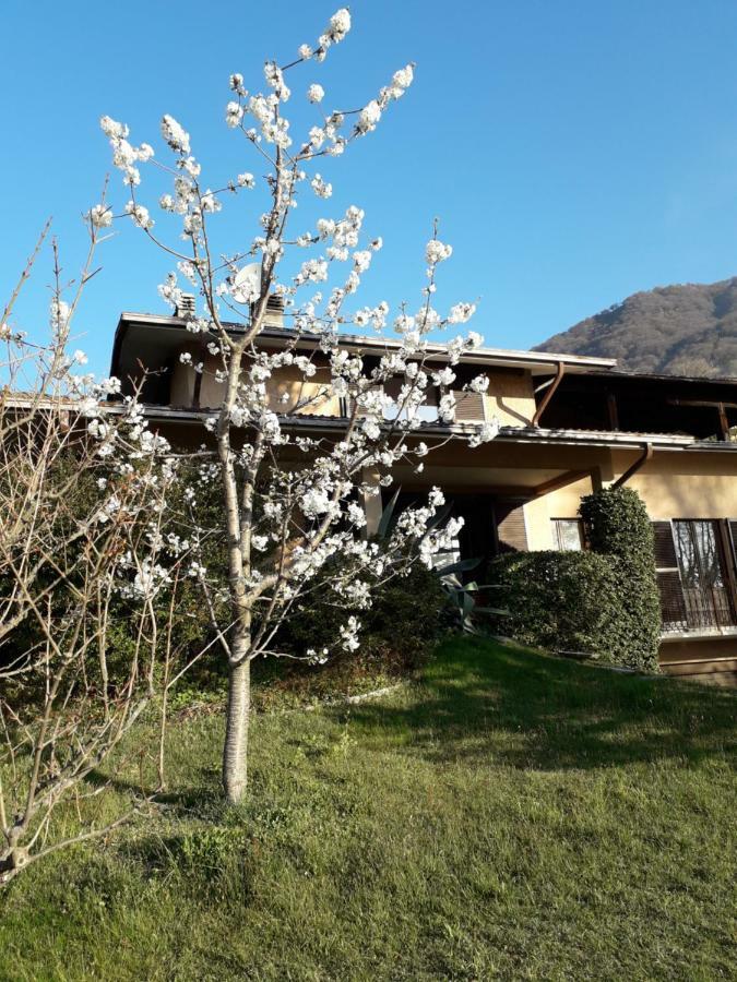 Agriturismo Badalone Domaso Exterior foto